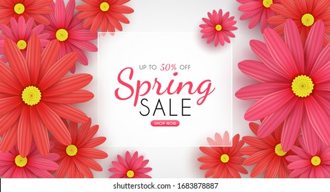 Daisy flowers bloom in the seasonal spring. and the beautiful and colorful flowers. and for sale shopping discount promotion. and frame leaflet or web banner. and used as illustration or background.

