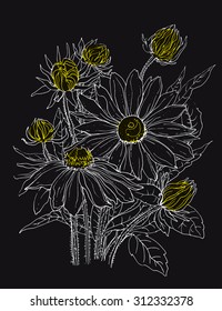 Daisy flowers in bouquet. Botanical outline Illustration on dark background. Illustration for greeting cards, wedding invitations, and other printing projects.