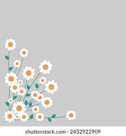 Daisy flowers, delicate corner on light grey background