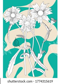 Daisy flowers drawn with lines on colorful background