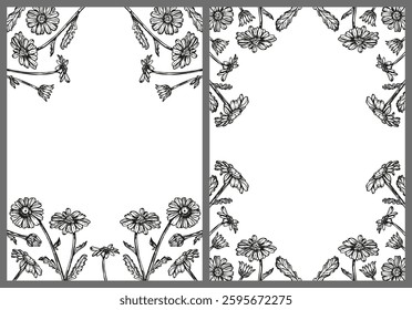 Daisy flowers frame sketch outline illustration banner background set. Сhamomile flower spring botanical doodle drawing in engraving style. Hand drawn vector line art