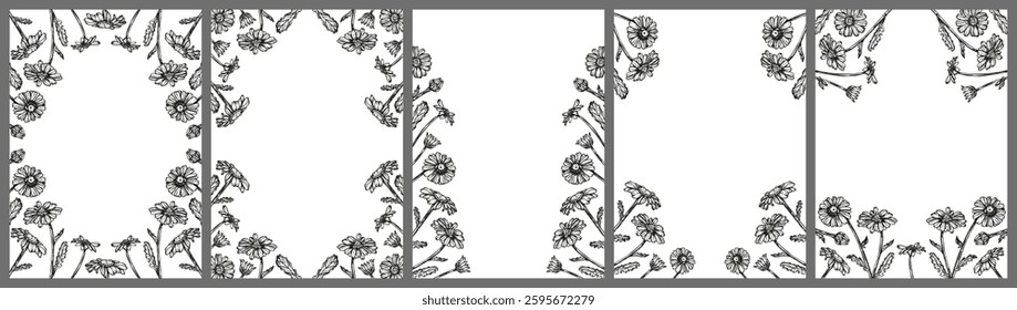 Daisy flowers frame sketch outline illustration banner background set. Сhamomile flower spring botanical doodle drawing in engraving style. Hand drawn vector line art