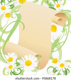 daisy flowers, green grass and old paper scroll illustration vector isolated on white