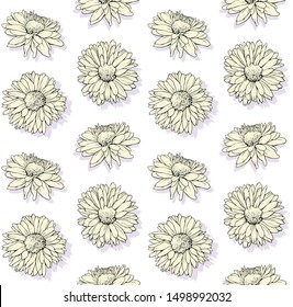 Daisy flowers hand drawn pattern pastel seamless