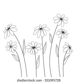 daisy flowers hand drawn vector for background , decorate, cover