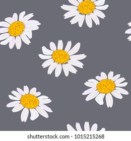 Daisy flowers. Headds. Seamless pattern. Vector illustration. Design for herbal tea, health care products, natural cosmetics, perfumery, essential oil, Purple background wrapping, prints