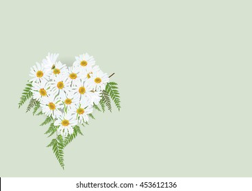 daisy flowers heart shape with fern leaves on light blue background isolated picture 