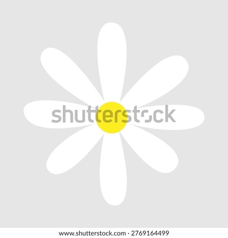 Daisy flowers icon vector. Daisy Illustration sign. Chamomile symbol. flowers logo.