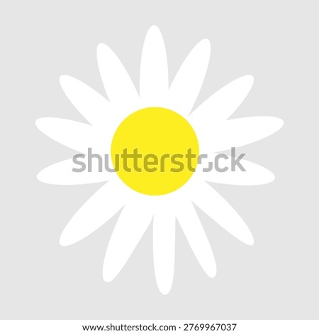 Daisy flowers icon vector. Daisy Illustration sign. Chamomile symbol. flowers logo.