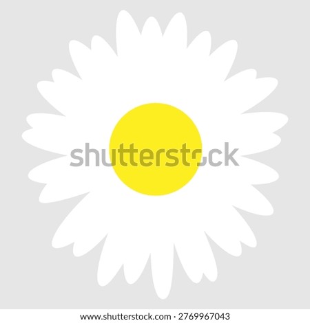 Daisy flowers icon vector. Daisy Illustration sign. Chamomile symbol. flowers logo.