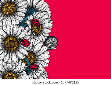 Daisy flowers and ladybugs forming border on red background with space for text.