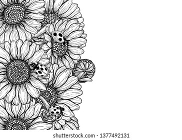 Daisy flowers and ladybugs forming border on white background with space for text.