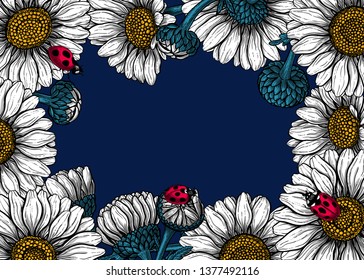 Daisy flowers and ladybugs forming frame on dark blue background with space for text