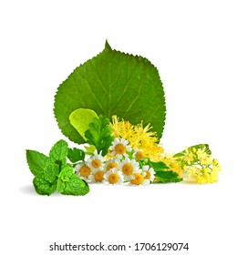 Flores de margarita. Flores de liden y polo bajo de menta. Fondo de las flores de lino. Perfumada fragancia y menta fresca. Té de flores de lino. Té de Chamomile. Flor Linden en técnica de triangulación.