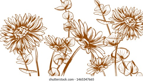 Daisy flowers line art Vector. Hand drawn summer floral background