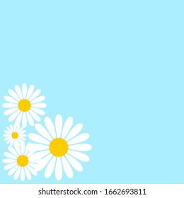 Daisy Flowers on a Baby Blue Background. Vector Image.