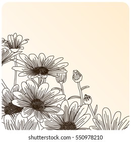 Daisy flowers on a beige background, outline drawing. Vector flowers illustration.