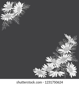 Daisy flowers on a black  background with place for text. Floral monochrome frame. Greeting card, invitation or isolated elements for design. Corner composition.