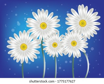 daisy flowers on a blue background vector scalable poster