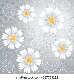 Daisy flowers on gray background. Vector illustration.