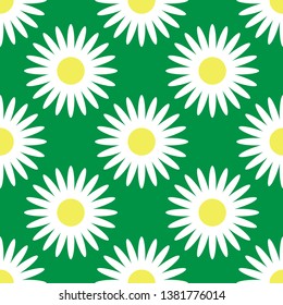 Daisy flowers on green background. Seamless pattern. Vector drawing. Texture.