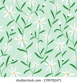 Daisy flowers on mint, vector seamless pattern