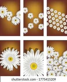 Daisy flowers on mobile screens, 6 individual screen designs