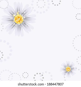 Daisy flowers on white background. 