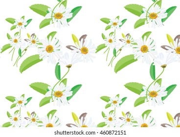 daisy flowers pattern background