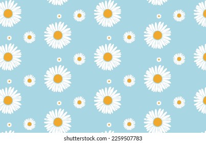 Daisy flowers pattern wallpaper vintage on blue background vector illustration