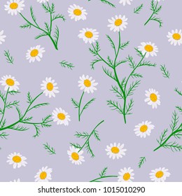 Daisy flowers. Seamless pattern. Vector illustration.