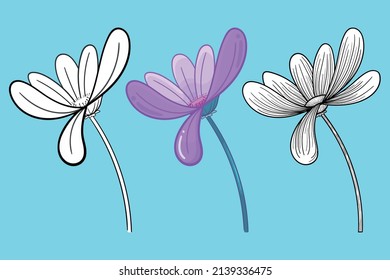 Daisy flowers in three different steps, simple, color and black and white