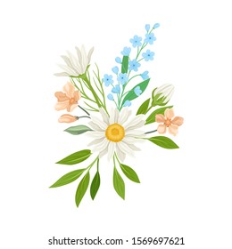 Daisy Flowers Vector Composition. Field Chamomile Blossom Concept