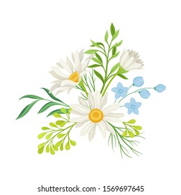 Daisy Flowers Vector Composition. Field Chamomile Blossom Concept Daisy Flowers Vector Composition. Field Chamomile Blossom Concept