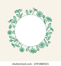 Daisy flowers wreath frame sketch outline illustration. Daisy flower spring botanical doodle drawing in engraving style. Hand drawn vector line art
