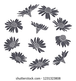 Daisy flowers.Sketch. Hand draw vector illustration, isolated floral elements for design on white background.Silhouettes.