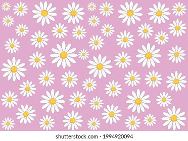 daisy flowervector art design hand drawn