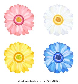 Daisy Gerbera set of four flowers. Isolated over white background. Vector file saved as EPS 8, all elements grouped, layered, no gradients, no effects, easy print.