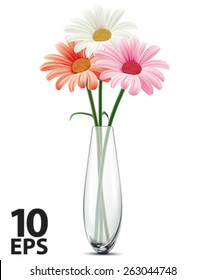 Daisy in a glass vase on a white isolated. Vector illustration