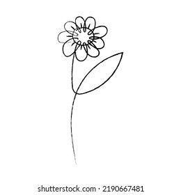 Elemento gráfico de margarita en un estilo de línea