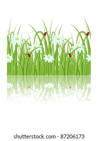 Daisy Grass Seamless Border Shutterstock