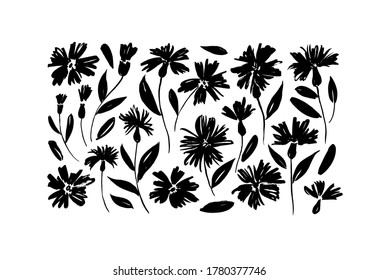 Daisy hand drawn black paint vector set. Ink drawing flowers and plants, monochrome artistic botanical illustration. Isolated floral elements, chamomile, aster, chrysanthemum. Brush strokes silhouette