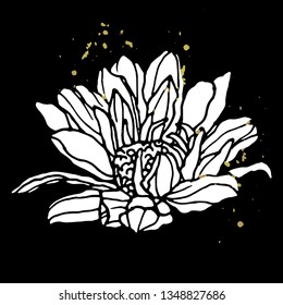 Daisy hand drawn vetor illustration