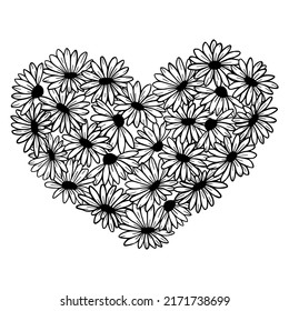 Daisy heart. Wildflowers in the shape of a heart.  Vector illustration. Hand drawn flowers. Vector summer illustration. 