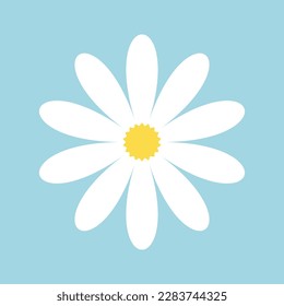 Daisy icon. Chamomile vector icon isolated