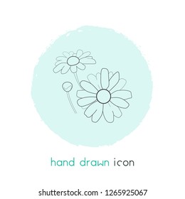 Daisy icon line element. Vector illustration of daisy icon line isolated on clean background for your web mobile app logo design.