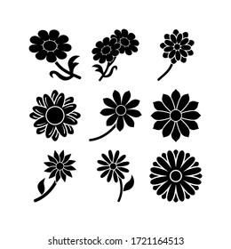 daisy icon or logo isolated sign symbol vector illustration - Collection of high quality black style vector icons
