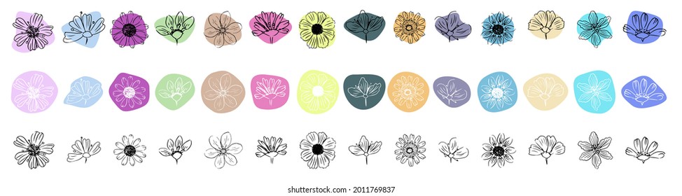 Daisy. Icon set. Flowers on abstract shape on white background. Isolated