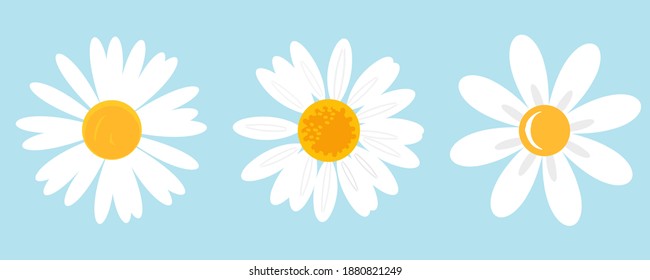 Daisy icon set isolated on blue background vector illustration.