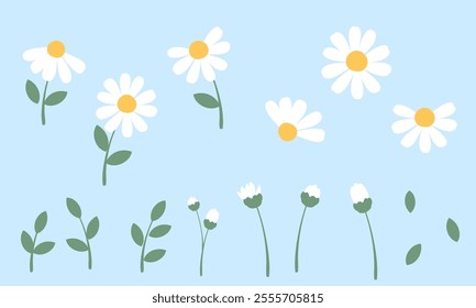 Daisy icon set on blue background vector.